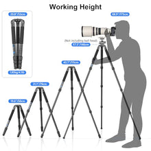 Load image into Gallery viewer, Carbon Fiber Camera Tripod Portable Travel Bowl Tripod Heavy Duty Camera Video Tripod WEYLLAN NX7 10 Layers Carbon Fiber 32.5mm Leg, Compatible with Ball Head & Fluid Head for DSLR Camera, Camcorder