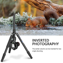 Load image into Gallery viewer, 72.6'' Carbon Fiber Tripod Camera Monopod WEYLLAN Heavy Duty Tripod for Camera, 32.5mm Tube, Professional Camera Tripod with 44mm Arca Low Profile Ball Head, Dslr Tripod Stand for Telescope, Camcorder