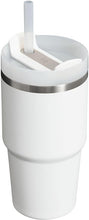Load image into Gallery viewer, Stanley Quencher H2.0 FlowState Stainless Steel Vacuum Insulated Tumbler with Lid and Straw for Water, Iced Tea or Coffee, Smoothie and More, Frost, 20oz