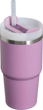 Load image into Gallery viewer, Stanley Quencher H2.0 FlowState Stainless Steel Vacuum Insulated Tumbler with Lid and Straw for Water, Iced Tea or Coffee, Smoothie and More, Lilac, 20oz