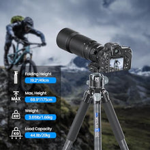 Load image into Gallery viewer, WEYLLAN Heavy Duty Carbon Fiber Tripod for Camera, 10-Layer Tube, 29mm Leg with DSLR Tripod Ball Head, Max Load 20kg