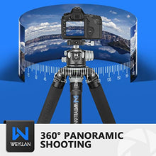 Load image into Gallery viewer, Low Profile Ball Head 55mm Tripod Ball Head WEYLLAN CH55 Heavy Duty 360 Panoramic Tripod Head, Large Size CNC Aluminum Camera Head for Tripod, with Two Arca Quick Release Plates, Max Load 88lbs/40kg