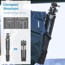 Load image into Gallery viewer, WEYLLAN Heavy Duty Carbon Fiber Tripod for Camera, 10-Layer Tube, 29mm Leg with DSLR Tripod Ball Head, Max Load 20kg