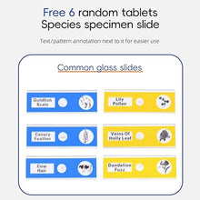 Load image into Gallery viewer, Microscope for Kids - 1000X Portable Labsters Microscope Handheld Microscope | Telescope and Microscope with 32GB SD Card | Photo and Video Microscope | Science Kits for Kids Over 3 Years Old