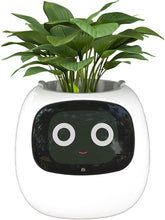 Load image into Gallery viewer, Masdio Smart Flowerpots, with Artificial Intelligence, Time Temperature Display, and Numerous Expressive Animations Based On The Environment, for Indoor Decoration, Gifts(White)