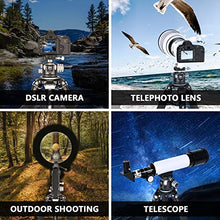 Load image into Gallery viewer, Low Profile Ball Head 55mm Tripod Ball Head WEYLLAN CH55 Heavy Duty 360 Panoramic Tripod Head, Large Size CNC Aluminum Camera Head for Tripod, with Two Arca Quick Release Plates, Max Load 88lbs/40kg