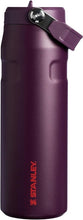 Load image into Gallery viewer, Stanley IceFlow Flip Straw 2.0 Water Bottle 24 OZ | Built-In Straw with Larger Opening | Lightweight & Leak-Resistant | Insulated Stainless Steel | BPA-Free | Plum