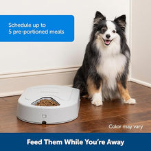 Load image into Gallery viewer, PetSafe Automatic Dog Feeder, 5 Meals, 40 oz Capacity, Plastic, for Dry Food, Multiple Pets