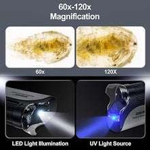 Load image into Gallery viewer, BEBANG Pocket Microscope,60X-120X Handheld Mini Microscope for Kids with LED Lighted Zoom, Portable Microscope Kits with 5 Pcs Slides for Adults Microbiological Observation Preschool Home Study Gifts