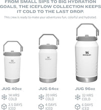 Load image into Gallery viewer, Stanley IceFlow Stainless Steel Water Jug with Straw, Vacuum Insulated Water Bottle for Home and Office, Reusable Tumbler with Straw Leak Resistant Flip, Polar, 40OZ