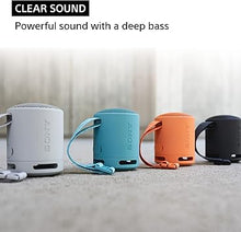 Load image into Gallery viewer, Sony SRS-XB100 Wireless Bluetooth Portable Lightweight Super-Compact Travel Speaker, Durable IP67 Waterproof & Dustproof Shower Speaker, 16 Hour Battery, Versatile Strap, & Hands-free Calling, Orange
