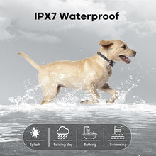 Load image into Gallery viewer, AI Dog Shock Collar 2 Dogs (10-120Lbs) - 3300FT Dog Training Collar with Remote, IPX7 Waterproof Collar with Beep, Vibration, Safe Shock for Large Medium Small Dogs, Keypad Lock and Flashing Light