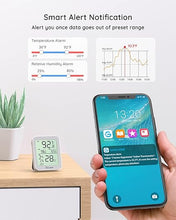 Load image into Gallery viewer, Govee Indoor Hygrometer Thermometer 2 Pack, Humidity Temperature Gauge with Large LCD Display, Notification Alert with Max Min Records, 2 Years Data Storage Export for Room Greenhouse, Grey
