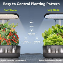 Load image into Gallery viewer, inbloom 12 Pods Hydroponics Growing System Kit, Herb Garden Planter Indoor Kit, Indoor Gardening Hydroponics Growing System with 4.2L Water Pump, Height Adjustable, Gifts for Woman, Transparent Black