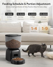 Load image into Gallery viewer, Automatic Cat Feeder, Cat Food Dispenser Battery-Operated with 180-Day Battery Life, Timed Pet Feeder for Cats and Dogs, Desiccant Bag, Programmable Portion Control, 4 Daily Meals, 10s Voice Recorder
