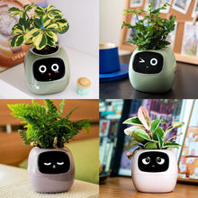 Load image into Gallery viewer, Masdio Smart Flowerpots, with Artificial Intelligence, Time Temperature Display, and Numerous Expressive Animations Based On The Environment, for Indoor Decoration, Gifts(White)