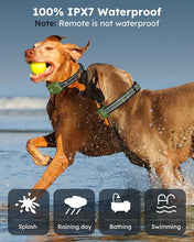 Load image into Gallery viewer, Jugbow Dog Shock Collar 2 Dogs (10-120Lbs) - 3300FT Dog Training Collar with Remote IPX7 Waterproof Electric Collar with 4 Training Modes, Security Lock, Rechargeable e-Collar for All Breeds, Sizes