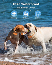 Load image into Gallery viewer, Jugbow Dog Shock Collar 2 Dogs (10-120Lbs) - 4200FT Dog Training Collar with Remote Control, IPX8 Waterproof Rechargeable E Collars for Large Medium Small Dog