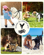 Load image into Gallery viewer, 2K Pet Collar Camera with 32GB SD Card,Cat Collar Camera with Phone app,20MP WiFi Dog Collar Camera,Pet Camera Accessories Newly Upgraded,Lightweight Action Camera with Remote