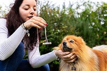 Load image into Gallery viewer, LUDOS Ultra Wired Earbuds in-Ear Headphones, 5 Years Warranty, Earphones with Microphone, Noise Isolating Ear Buds, Memory Foam for iPhone, Samsung, School Students, Kids, Women, Small Ears - Pink