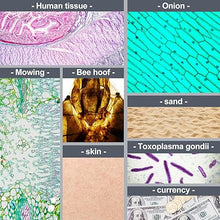 Load image into Gallery viewer, BEBANG Pocket Microscope,60X-120X Handheld Mini Microscope for Kids with LED Lighted Zoom, Portable Microscope Kits with 5 Pcs Slides for Adults Microbiological Observation Preschool Home Study Gifts