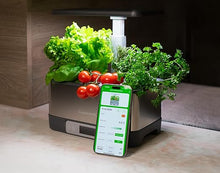 Load image into Gallery viewer, 8-Pod Smart Hydroponic Growing System, Indoor Garden with WiFi App, 24W LED Light, Stainless Steel, Self-Watering Timer – Perfect Gift for Home, School, Vegans, Kids, and Mental Health