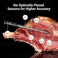 Load image into Gallery viewer, 4-Probe Wireless Bluetooth Smart Meat Thermometer: Standalone Base, WiFi Unlimited Range, 6 Sensors with NIST Certified Accuracy, for Kitchen, BBQ, Grill, Oven, Smoker, Rotisserie