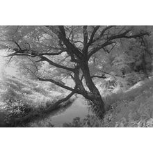 Load image into Gallery viewer, Hoya 52mm R-72 Infrared Filter