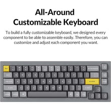 Load image into Gallery viewer, Keychron Q2 Wired Custom Mechanical Keyboard, QMK/VIA Programmable Macro, Full Aluminum, Hot-Swappable Gateron G Pro Blue Switch, 65% Layout Double Gasket Compatible with Mac and Windows - Grey