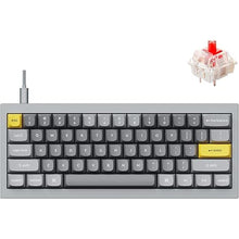 Load image into Gallery viewer, Keychron Q4 Wired Custom Mechanical Keyboard, QMK/VIA Programmable Macro, Full Aluminum, Hot-Swappable Gateron G Pro Red Switch, 60% Layout Double Gasket Compatible with Mac and Windows - Gray