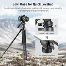 Load image into Gallery viewer, NEEWER Tripod Fluid Head with +/-10° Leveling Base(37mm Dia.), Metal Pan Tilt Head with Arca Type QR Plate, Telescopic Handle for Compact Video Camera DSLR Camera, Max Load 8.8lb/4kg, GM27