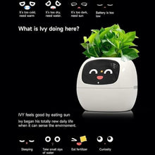 Load image into Gallery viewer, Smart Flowerpots,Smart Pet Planter,Ai Planter,Intelligent Flowerpots,Multiple Expressions,7 Smart Sensors, and Ai Chips Make Raising Plants Easy and Fun for Living Room,Plant-Free(Green)
