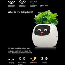 Load image into Gallery viewer, Smart Flowerpots,Smart Pet Planter,Ai Planter,Intelligent Flowerpots,Multiple Expressions,7 Smart Sensors, and Ai Chips Make Raising Plants Easy and Fun for Living Room,Plant-Free,Yellow