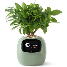 Load image into Gallery viewer, Smart pet Planter Robot Guidance on Plant Care with Emojis, Adorable Plant Companion with Rich Gesture Interaction, Neat Desk Setup Gift (Green)