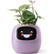 Load image into Gallery viewer, Smart pet Planter Robot Guidance on Plant Care with Emojis, Adorable Plant Companion with Rich Gesture Interaction, Neat Desk Setup Gift (Purple)