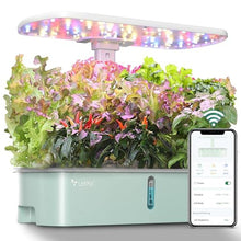 Load image into Gallery viewer, LetPot LPH-Air Hydroponics Growing System Kits, APP & WiFi Controlled Smart Indoor Garden with 24W Grow Light Full Spectrum, 10 Pods Planter Indoor Gardening for Gifts, Kitchen, Vegetable (Green)