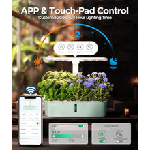 Load image into Gallery viewer, LetPot LPH-Air Hydroponics Growing System Kits, APP & WiFi Controlled Smart Indoor Garden with 24W Grow Light Full Spectrum, 10 Pods Planter Indoor Gardening for Gifts, Kitchen, Vegetable (Green)