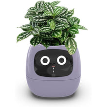 Load image into Gallery viewer, Intelligent Flower Pot, Electronic Bud, Maintenance Plant Assistant, Fun Interactive Flower Pot, Indoor Green Planting Monitoring, LCD Screen Display, Cell Phone APP Connection (Purple)