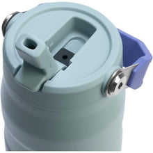 Load image into Gallery viewer, Stanley IceFlow Flip Straw 2.0 Water Bottle 24 oz | Built-In Straw for Travel and Sports | Lightweight and Leak Resistant | Insulated Stainless Steel | BPA-Free | Blue Cactus