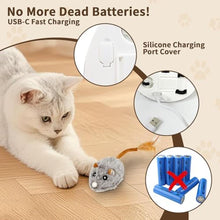 Load image into Gallery viewer, COSOWO USB Rechargeable Electric Mouse Cat Toy with Squeaky Sound, Interactive Toys for Indoor Cats, Automatic Mice Kitty Toys with Realistic Chirping, Fun Exercise Hunting Plaything for Pets