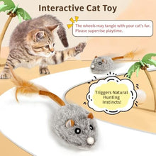 Load image into Gallery viewer, COSOWO USB Rechargeable Electric Mouse Cat Toy with Squeaky Sound, Interactive Toys for Indoor Cats, Automatic Mice Kitty Toys with Realistic Chirping, Fun Exercise Hunting Plaything for Pets