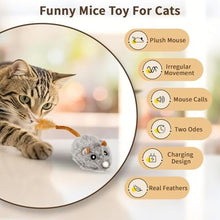 Load image into Gallery viewer, COSOWO USB Rechargeable Electric Mouse Cat Toy with Squeaky Sound, Interactive Toys for Indoor Cats, Automatic Mice Kitty Toys with Realistic Chirping, Fun Exercise Hunting Plaything for Pets