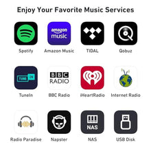 Load image into Gallery viewer, Arylic S10+ WiFi & Bluetooth Music Streamer for Home Stereo, AirPlay Receiver with Spotify Connect, Multiroom Audio System, Upgrade Old Speakers with Clearer HiFi Sound, Optical & RCA Output_777