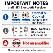 Load image into Gallery viewer, blafili B3 Bluetooth Receiver for Mixers, DJ, PA & Stereo Systems_1806