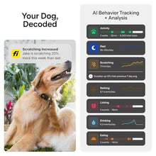 Load image into Gallery viewer, Fi Series 3+ Dog GPS Collar, X-Large Blue Dog Tracker, 12 Months Included_1917