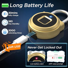 Load image into Gallery viewer, Fingerprint Padlock, Dhiedas Padlock with Fingerprint Bluetooth, Waterproof Small Padlocks, USB Charging for Gym Locker, School, Luggage, Fence, Hasp Cabinet Gold_7026