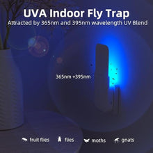 Load image into Gallery viewer, Mosalogic Fruit Fly Traps for House Use Gnat Trap Flying Insect Trapper Plug-in Mosquito Killer Indoor Gnat Moth Catcher Fly Tapper with Night Light UV Attractant Catcher for Home Office White-1PACK_8266