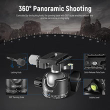Load image into Gallery viewer, NEEWER Low Profile Camera Tripod Ball Head, 36mm Metal Panorama Ball Head Compatible with Arca 1/4 Quick Release Plate for Tripod Monopod Slider DSLR Camera Camcorder, Load Capacity: 33lb/15kg -GM36, Black_5280