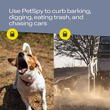 Load image into Gallery viewer, PetSpy N30 Dog Barking Control Device with Triple Ultrasonic Emitter with 49 Feet Range - Ultrasonic Anti-Barking Device with Flashlight (Grey)_535