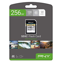 Load image into Gallery viewer, PNY 256GB Elite Performance Class 10 U3 SDXC Flash Memory Card - 95MB/s Read, Class 10, U3, 4K UHD, Full HD, UHS-I, Full Size SD, Black_2855